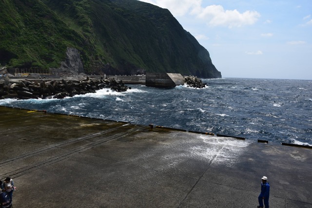 DSC_0032_compressed