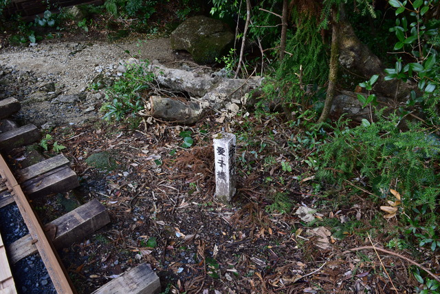 DSC_0933 (2)