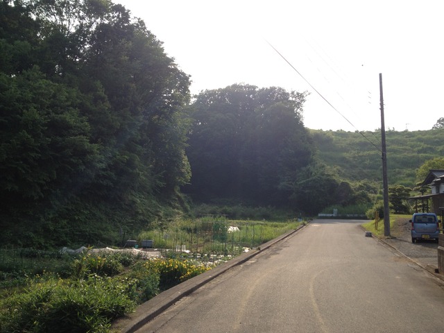 図1IMG_0710