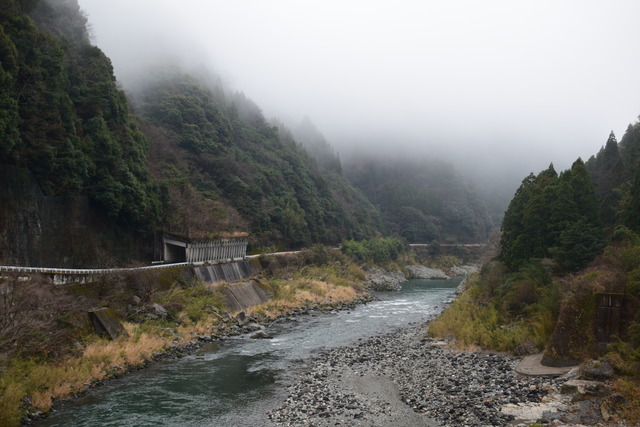 DSC_0595 (2)
