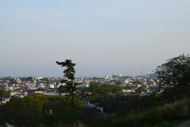 DSC_0301
