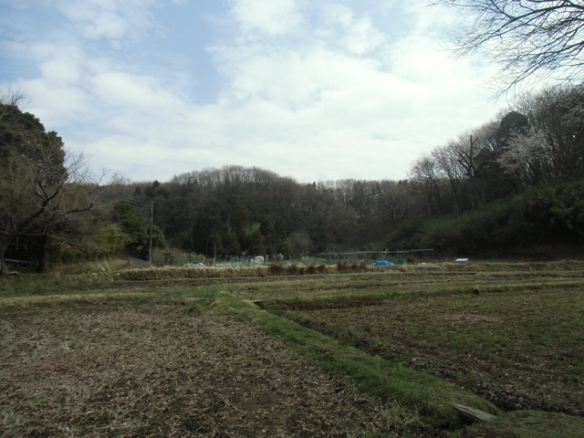 五CIMG1019