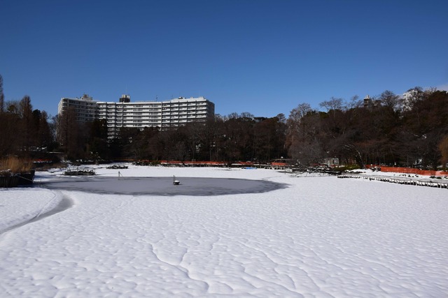 DSC_0217_compressed