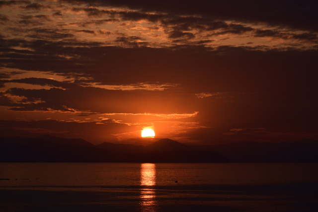 DSC_0382 (2)