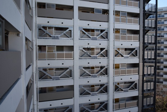 DSC_0100