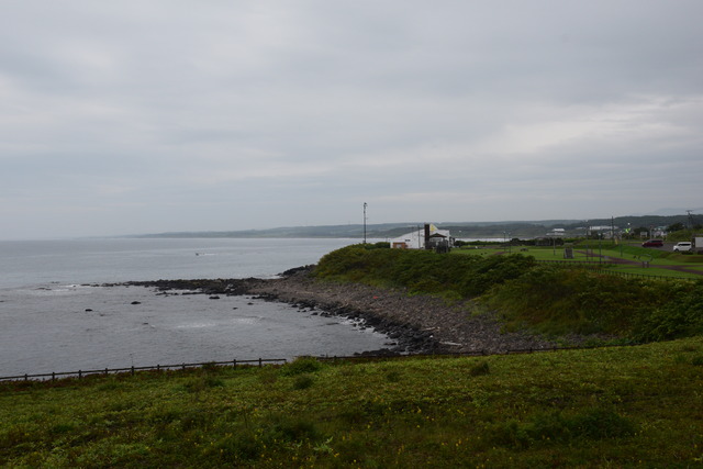 DSC_0356