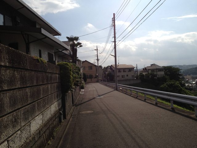 94376ecc.jpg