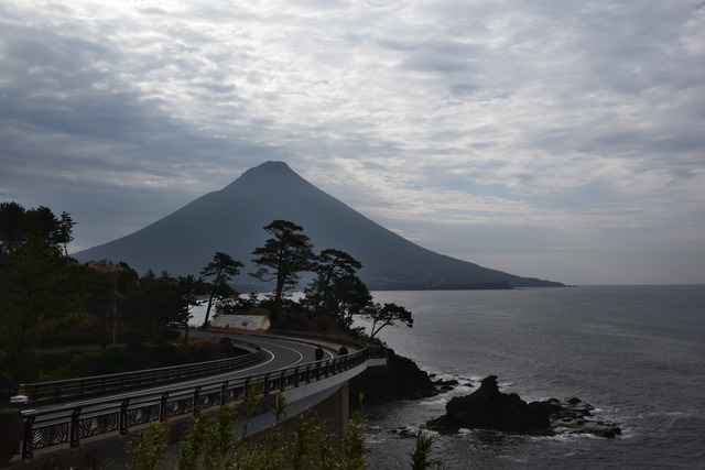 DSC_0226 (2)