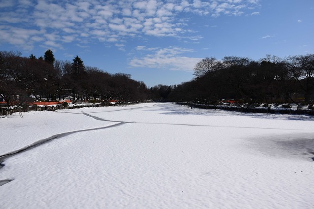 DSC_0220_compressed