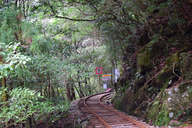 DSC_0952 (2)