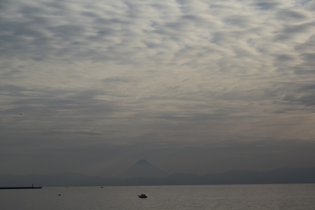 DSC_0364 (2)