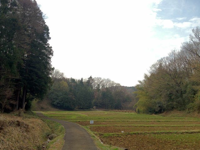 神IMG_7805