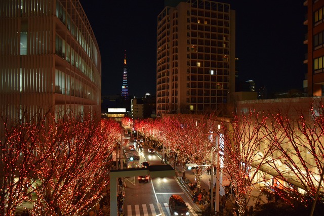 DSC_0015