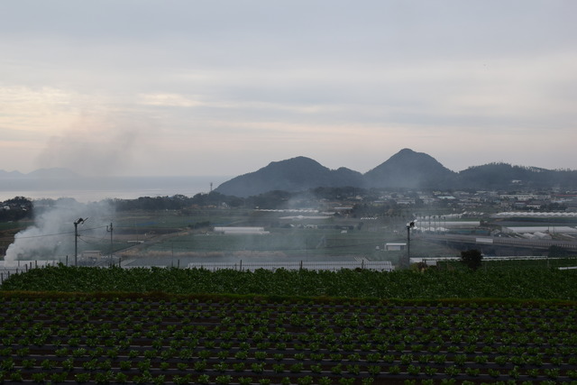 DSC_0261 (2)