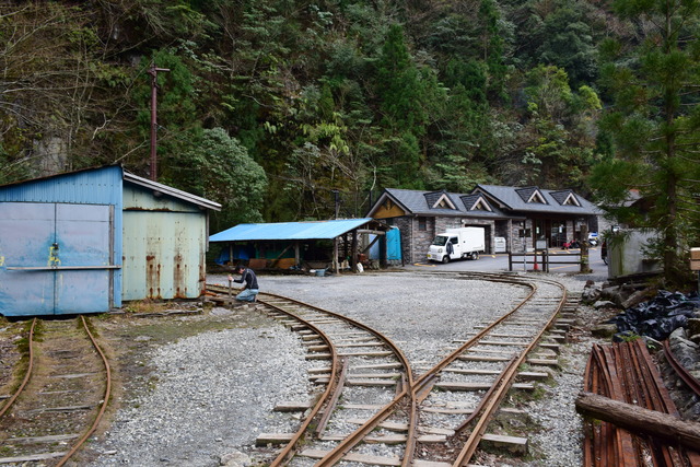 DSC_0879 (2)