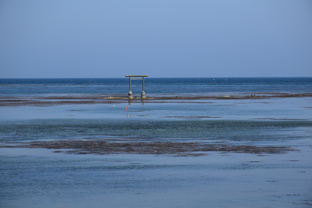 DSC_0444