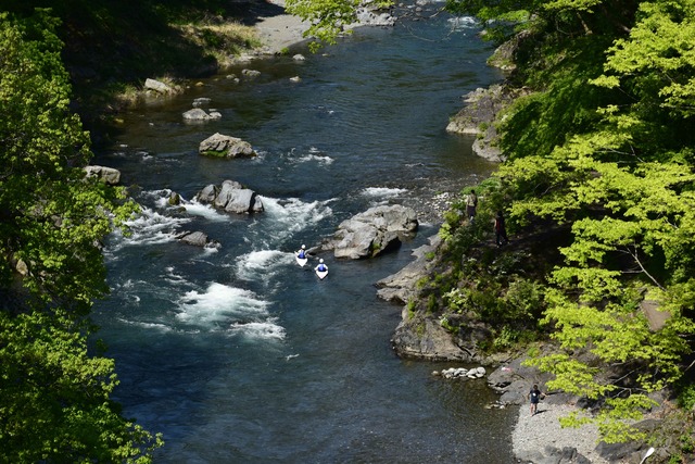 DSC_0508_compressed