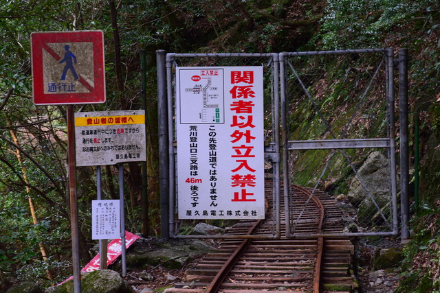 DSC_0961 (2)