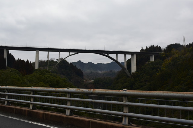 DSC_0695 (2)