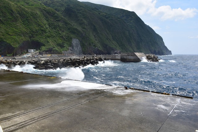 DSC_0033_compressed