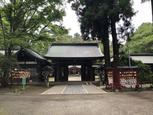 2018_07_16_IMG_7602