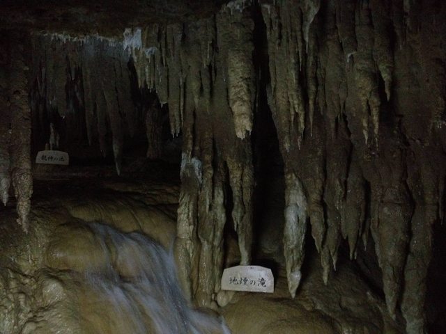 cd5a0d6a.jpg