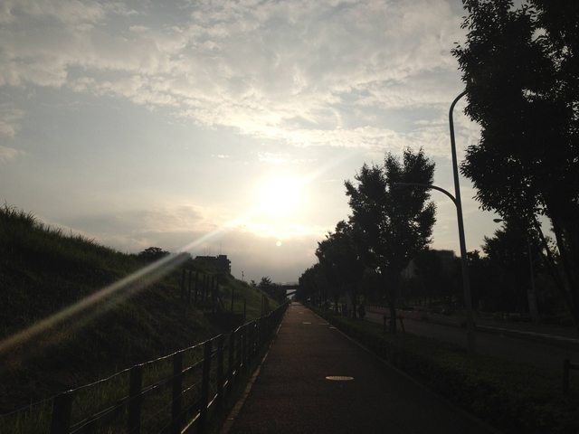 cd84945f.jpg