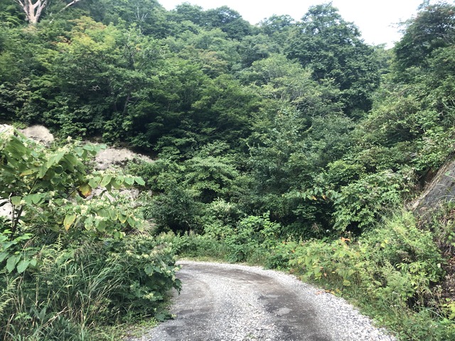 2018_09_15_IMG_1232