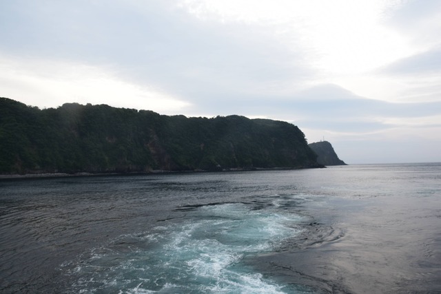 DSC_0051_compressed