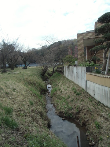 宇CIMG0998