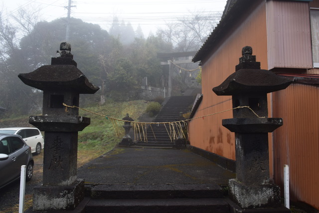 DSC_0614 (2)