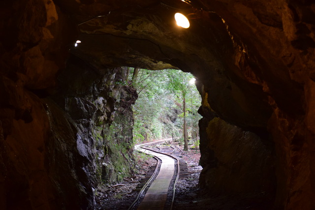 DSC_0949 (2)