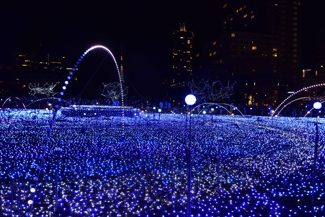 DSC_0050