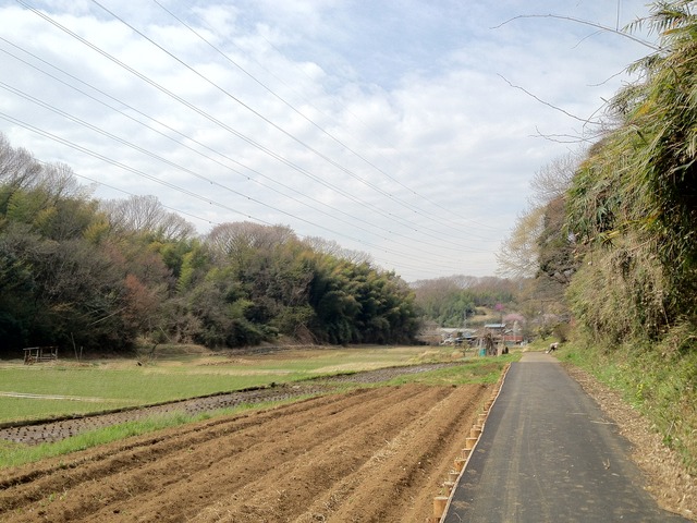 東IMG_7779