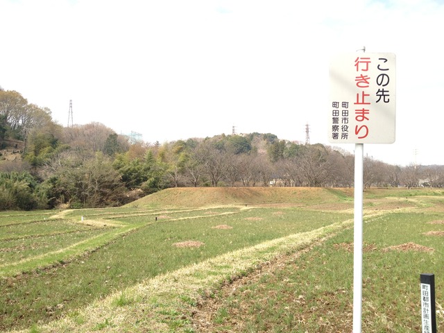 松IMG_7812