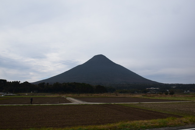DSC_0236 (2)