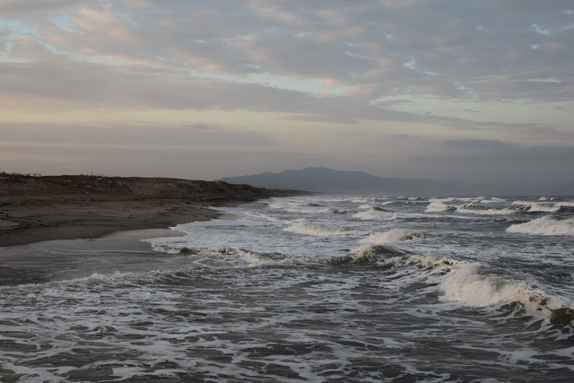 DSC_0174 (2)