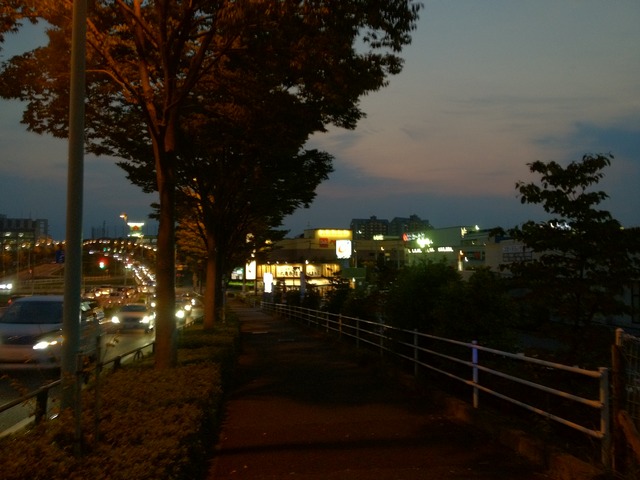 厳耕地
