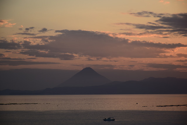 DSC_0379 (2)