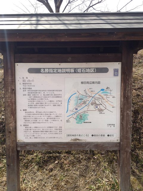 f25d3db3.jpg