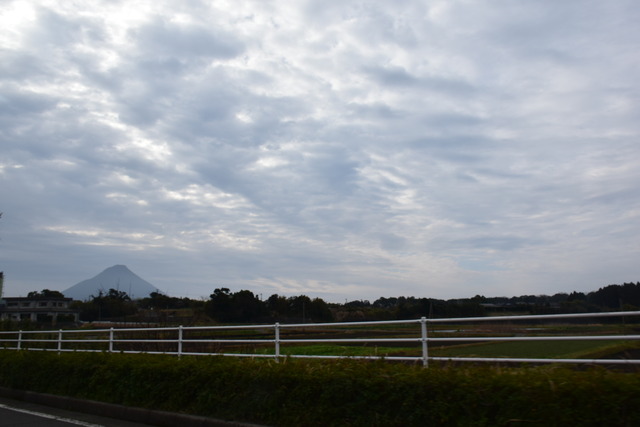 DSC_0223 (2)