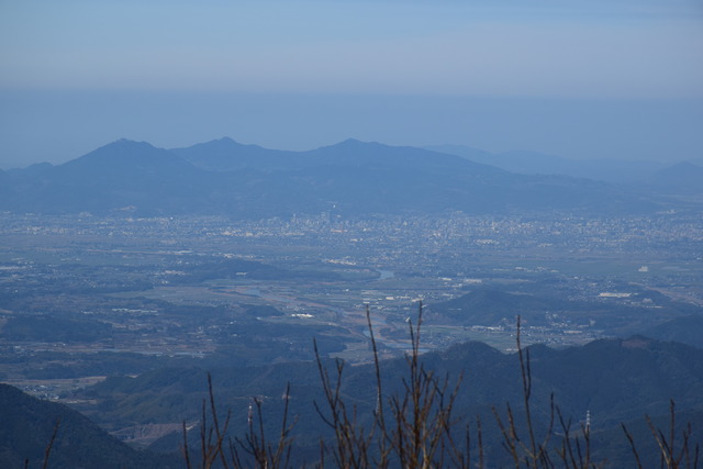 DSC_0742 (3)