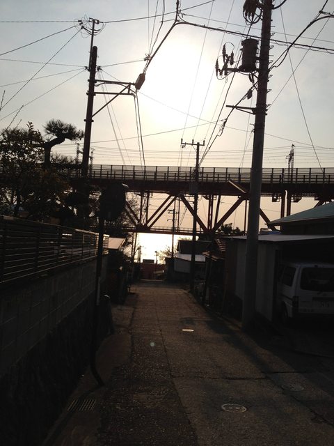 fa99d5f8.jpg