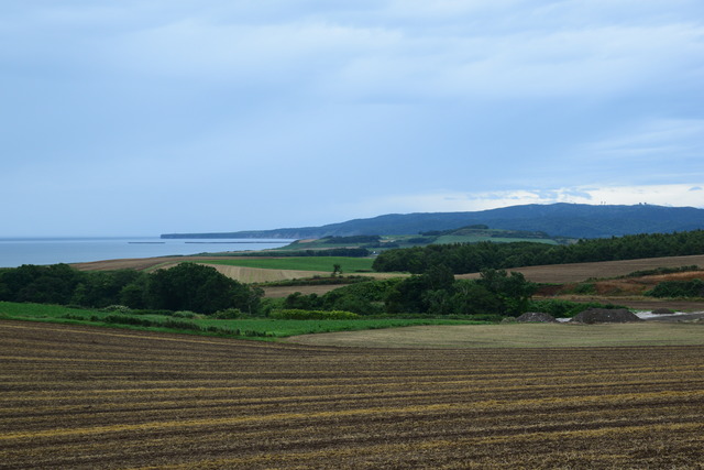 DSC_0435