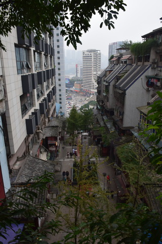 DSC_0137