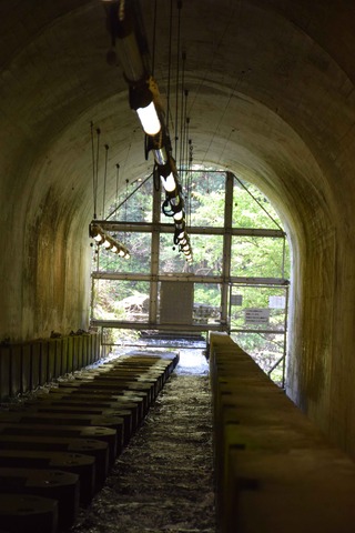 DSC_0544_compressed