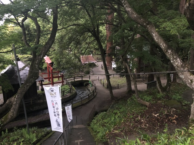 2018_09_17_IMG_1653