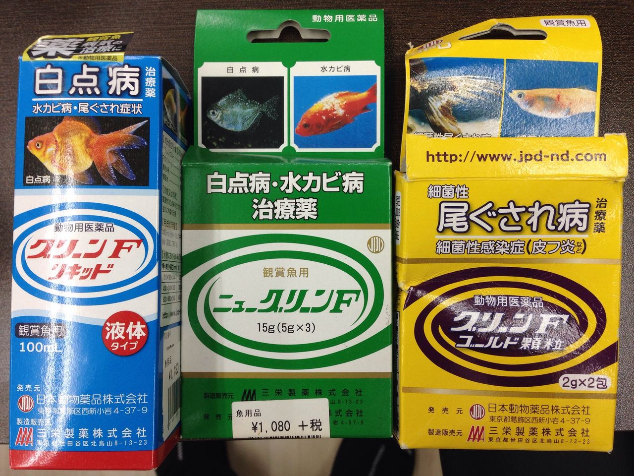 3度目の白点病治療 初心者から始めるアクアリウム 3度目の白点病治療 初心者から始めるアクアリウム