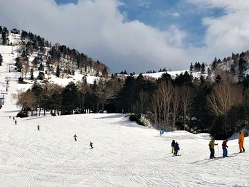 IMG_4462
