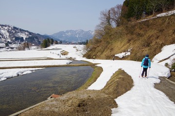 IMGP7746